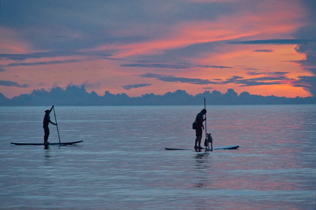 sup paddle gonflable