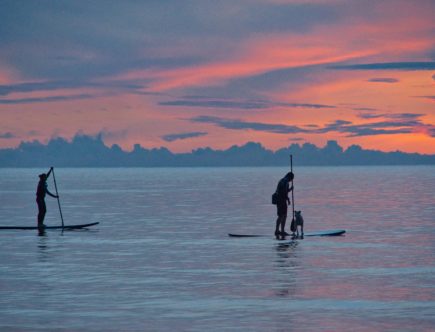 sup paddle gonflable