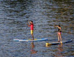 paddle surf