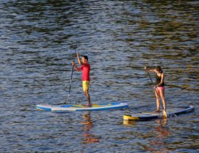 paddle surf